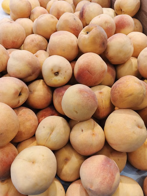 Açougue
